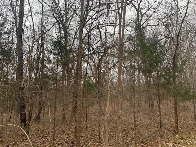 Land For Sale In Greenfield, Mo